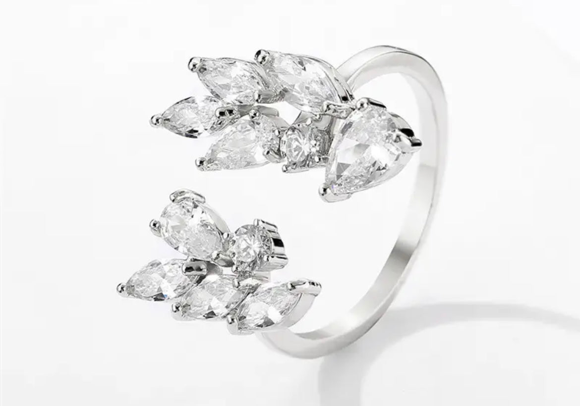 Shiny Ring